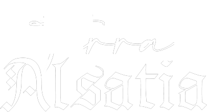 Terra-Alsatia-titre-accueil Terra Alsatia titre du spectacle en accueil du site